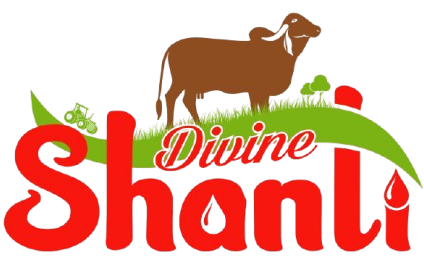 Divine Shanti Logo